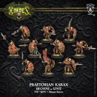 74079_praetoriankarax